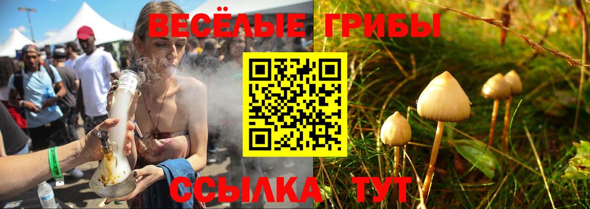 Псилоцибиновые грибы GOLDEN TEACHER  даркнет сайт  Ликино-Дулёво  Вход с VPN 
